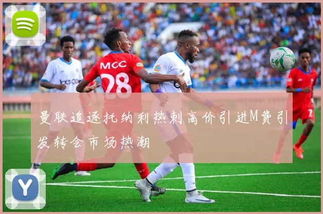 曼联追逐托纳利热刺高价引进M费引发转会市场热潮